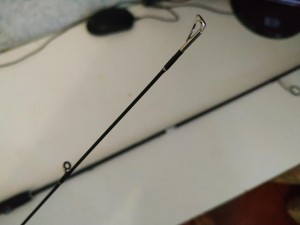 IMG_20210107_095430.jpg