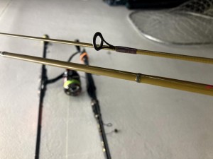 IMG_0473.jpg