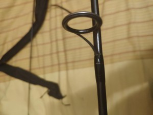 IMG_20210117_212244.jpg