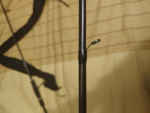 IMG_20210117_212413.jpg