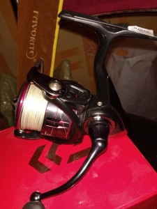 IMG_20210119_074511.jpg