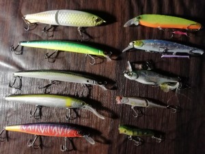 IMG_20210125_195800.jpg