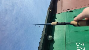 IMG_20210217_101806.jpg