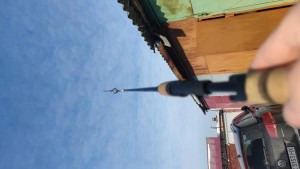 IMG_20210217_101831.jpg