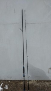 Giant-1.jpg
