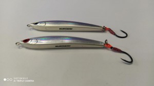 IMG_20210226_102110.jpg
