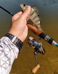 485.jpg