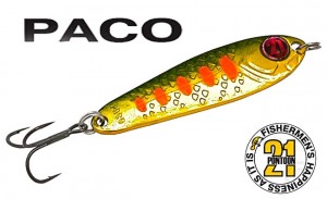 paco-21-logo.jpg