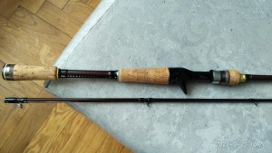 IMG_20210328_162408.jpg