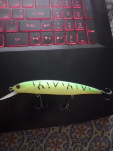 IMG_20201220_152523.jpg