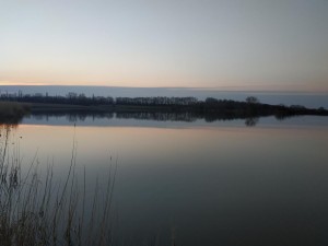 IMG_20210331_190018.jpg