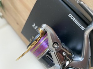 IMG_0988.jpeg
