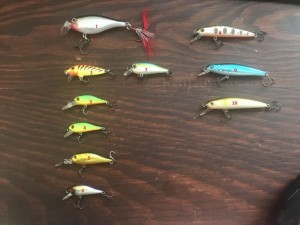 IMG_1759.jpeg
