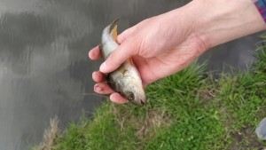 IMG_20210502_120404.jpg