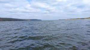IMG_20210501_100827.jpg