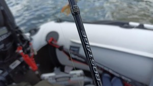 IMG_20210501_133818.jpg