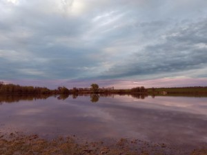 IMG_20210503_191341.jpg