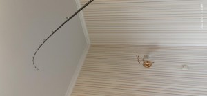 1620391251764.jpg