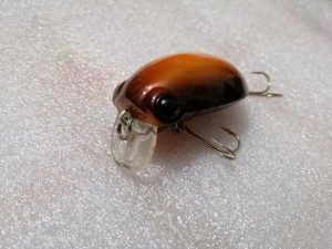 IMG_20210507_230548.jpg