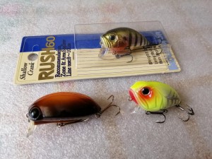 IMG_20210509_133122.jpg
