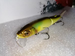 IMG_20210512_194550.jpg