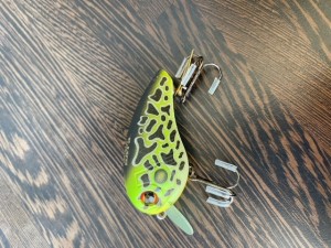 image4.jpeg