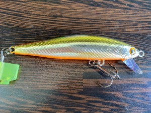 image9.jpeg