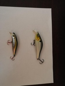 IMG_20210523_190550.jpg