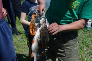 IMG_20210524_164036_440.JPG