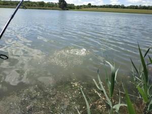 IMG_20210530_120608.jpg