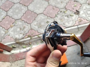 IMG_20210618_184728.jpg