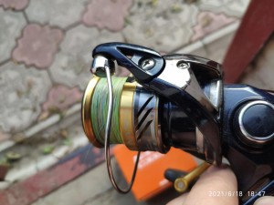 IMG_20210618_184739.jpg