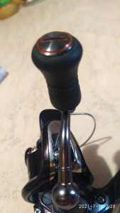 IMG_20210705_122837.jpg