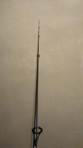 IMG_20210821_215029.jpg