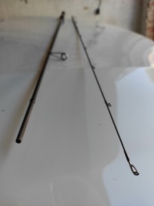 IMG_20210819_091901.jpg