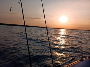 IMG_20210830_063909.jpg