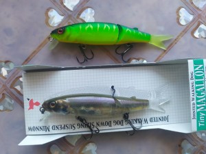 IMG_20210905_102208.jpg