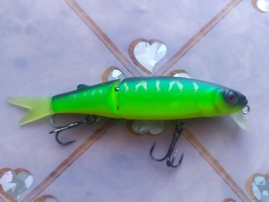 IMG_20210905_102043.jpg