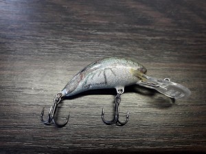 20210908_090205.jpg