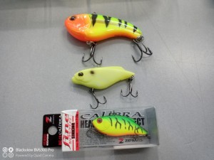 IMG_20210917_085607_165.jpg