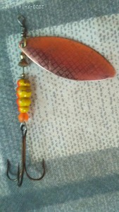 IMG_20200714_141209.jpg