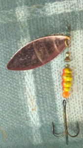 IMG_20200714_141224.jpg
