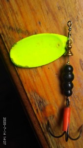 IMG_20200714_142705.jpg
