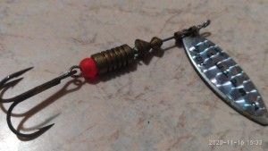 IMG_20201116_153346.jpg