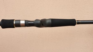 AMBt-X (5).jpg