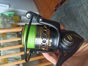 IMG_20210920_095219.jpg
