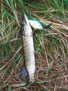IMG_20210922_100537.jpg