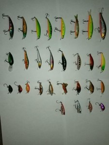 IMG_20210926_135539.jpg