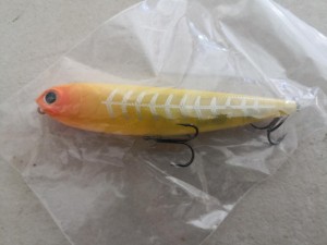 IMG_20210927_161142.jpg