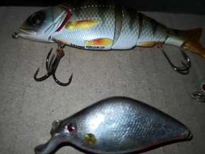 IMG_20210927_162436.jpg